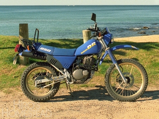 VԂōwSUZUKI DR250S